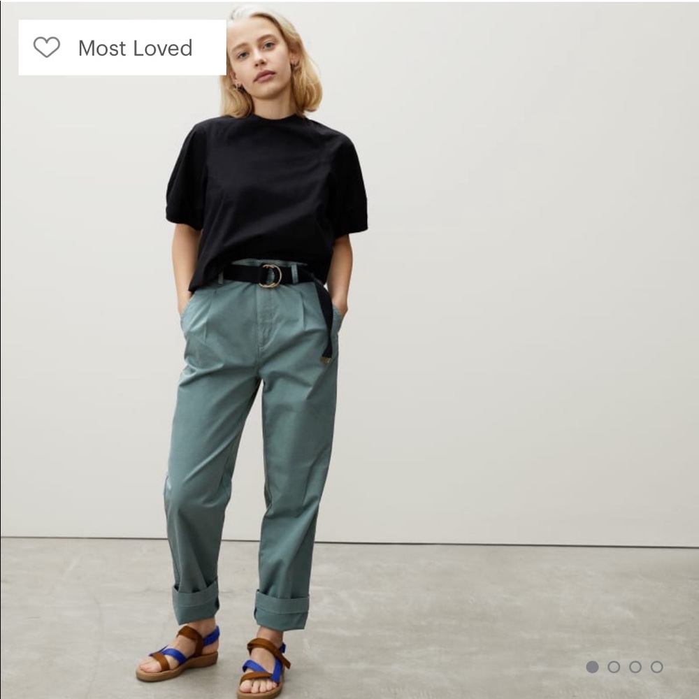NWT pleated chino